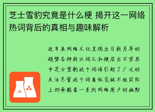 芝士雪豹究竟是什么梗 揭开这一网络热词背后的真相与趣味解析